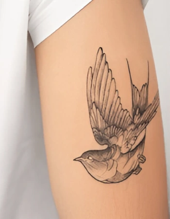 Tattoo Removal Before